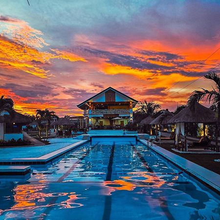 Treeshade Resort & Spa モアルボアル エクステリア 写真